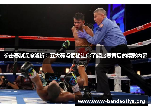 拳击赛制深度解析：五大亮点揭秘让你了解比赛背后的精彩内幕