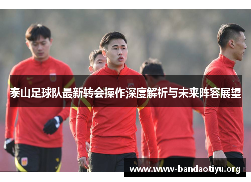 泰山足球队最新转会操作深度解析与未来阵容展望 泰山足球队最新转会操作深度解析与未来阵容展望