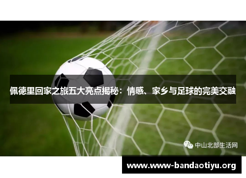 佩德里回家之旅五大亮点揭秘:情感、家乡与足球的完美交融 佩德里回家之旅五大亮点揭秘:情感、家乡与足球的完美交融