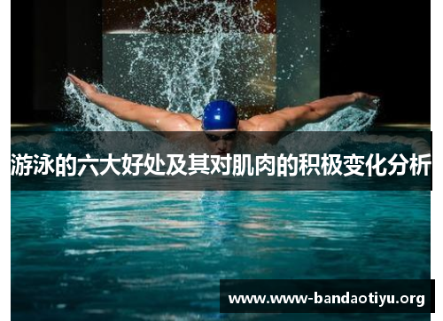 游泳的六大好处及其对肌肉的积极变化分析 游泳的六大好处及其对肌肉的积极变化分析