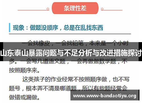 山东泰山暴露问题与不足分析与改进措施探讨