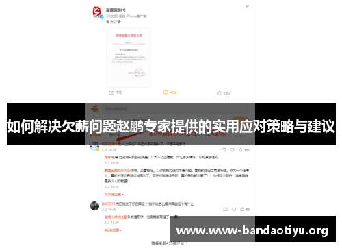 如何解决欠薪问题赵鹏专家提供的实用应对策略与建议 如何解决欠薪问题赵鹏专家提供的实用应对策略与建议