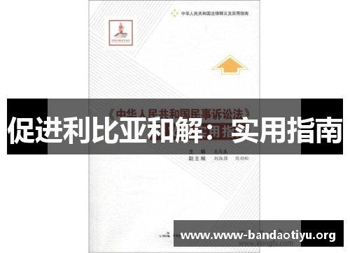 促进利比亚和解:实用指南 促进利比亚和解:实用指南