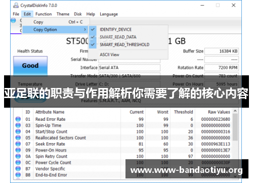 亚足联的职责与作用解析你需要了解的核心内容 亚足联的职责与作用解析你需要了解的核心内容