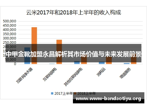 中甲金靴加盟永昌解析其市场价值与未来发展前景 中甲金靴加盟永昌解析其市场价值与未来发展前景