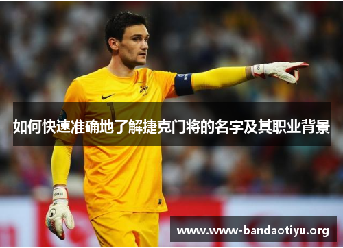 如何快速准确地了解捷克门将的名字及其职业背景 如何快速准确地了解捷克门将的名字及其职业背景