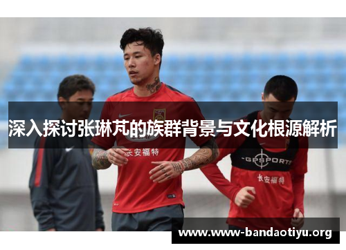 深入探讨张琳芃的族群背景与文化根源解析 深入探讨张琳芃的族群背景与文化根源解析