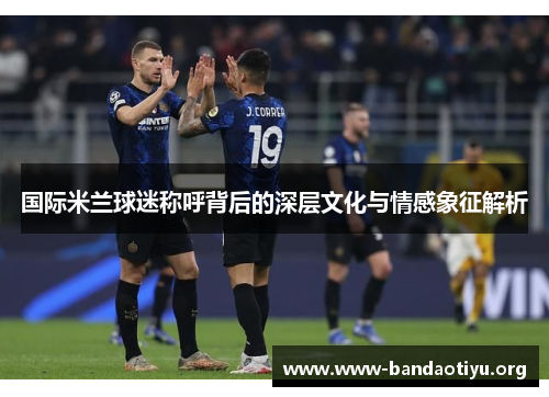国际米兰球迷称呼背后的深层文化与情感象征解析 国际米兰球迷称呼背后的深层文化与情感象征解析