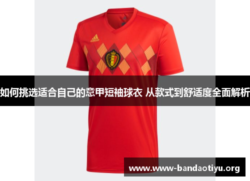 如何挑选适合自己的意甲短袖球衣 从款式到舒适度全面解析 如何挑选适合自己的意甲短袖球衣 从款式到舒适度全面解析