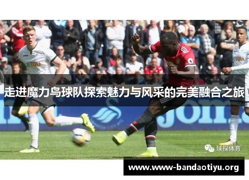 走进魔力鸟球队探索魅力与风采的完美融合之旅 走进魔力鸟球队探索魅力与风采的完美融合之旅