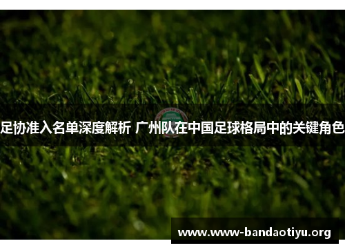 足协准入名单深度解析 广州队在中国足球格局中的关键角色 足协准入名单深度解析 广州队在中国足球格局中的关键角色